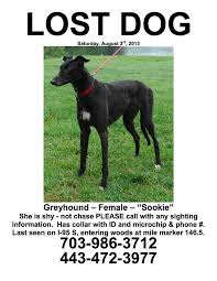 Maybe you would like to learn more about one of these? Pet Rescue Southern Maryland The Y Guide