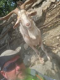 Terp float. Illinois river