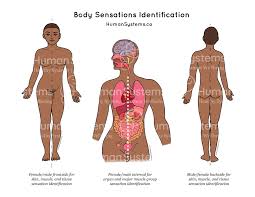 Image result for Sensation