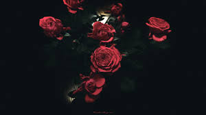 ✓ free for commercial use ✓ high quality images. Aesthetic Red Pc Wallpapers On Wallpaperdog