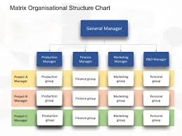 Matrix Organisational Chart Organizational Chart
