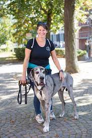 Jun 04, 2021 · jul. Gottes Segen Fur Hund Katze Und Spatz Evangelisch De
