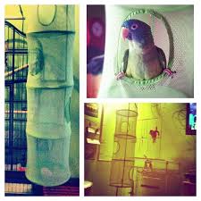 This Is Such A Great Idea Portable Cheap And Easy To Store Play Area For Your Muhabbet Kuslari Kus Ve Oyun