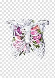 Maybe you would like to learn more about one of these? Anatomy Rib Cage Flower Human Body Drawing Artist Creative Elements Transparent Png