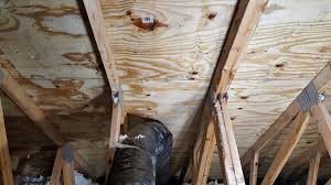 Most mold remediation companies will tell you that the cost of basement mold removal depends on a number of factors including: Cost Of Mold Removal Attic Basement Crawl Space From 500