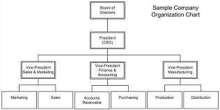 Free Company Structure Chart Template Organizational Chart Org Chart Organization Chart