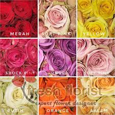 We did not find results for: Terhangat Hand Bouquet Buket Bunga Wisuda Kado Ulang Tahun Bunga Mawar Shopee Indonesia