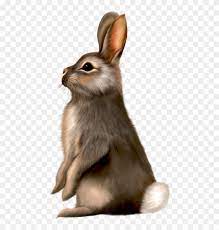 We did not find results for: Painted Brown Bunny Clipart Brown Easter Bunny Clip Art Hd Png Download 491x800 6077267 Pngfind