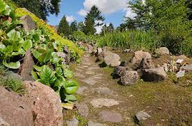 The botanischer garten universität rostock (7.8 hectares), also known as the botanischer garten rostock, is a botanical garden and arboretum maintained by the university of rostock. Quermania Botanischer Garten Universitat Rostock Historische Parkanlage