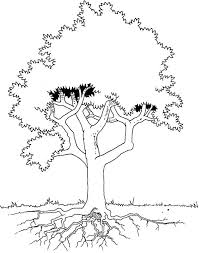Trees are among the most sought after coloring page subjects all over the world with parents often looking for unique printable tree coloring sheets online. Tree Coloring Pages With Roots