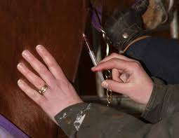 We did not find results for: Vacunacion De Caballos Vacunas Obligatorias Y Opcionales
