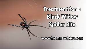 Medically reviewed by gerhard whitworth, r.n. Black Widow Bite Treatment From New To Icu
