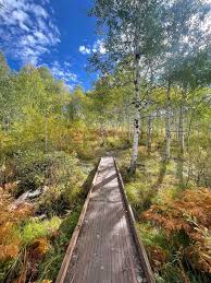 9 Best Steamboat Hikes with Nearby Hot Springs in 2026 — Colorado Hikes and  Hops