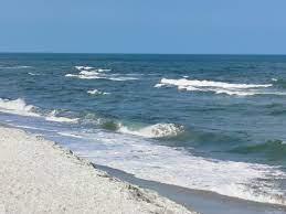 Maybe you would like to learn more about one of these? Curiozitati Neasteptate Despre Mare Neagra