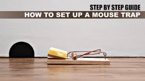 Constructed of plastic, the snap traps require no assembly. Step By Step Guide On How To Set Up A Mouse Trap The Pinnacle List