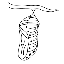 1) if you have javascript enabled you can click the print link in the top half of the page and it will automatically print the coloring page only and ignore the advertising and navigation at the top of the page. Butterfly Cocoon Clip Art