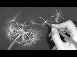 4 Easiest Drawing To Make On Black Paper Drawing Blackpaper Youtube Black Paper Drawing Black Paper Easy Drawings