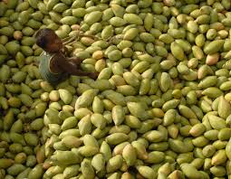 A Child Sits On A Heap Of Mangoes At A Fruit Wholesale Market In Kodur Village Mangoes Fruit Vegetables