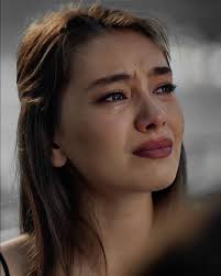 Link de novelas Booknet en Español