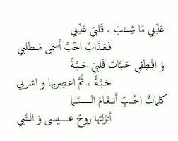 إيليا أبو ماضي words quotes arabic quotes