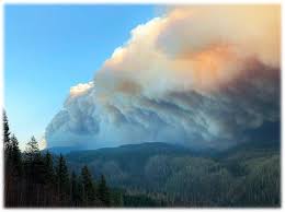 2020 Beachie Creek and Riverside Fires Burned Area Emergency Response Plan