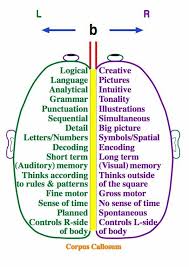 Oscar Learn Oscar Teach Psychology Right Brain Dyslexia
