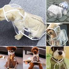 The least i can do is make her more comfortable, but her old coat is too short and doesn't protect her ears at all. Nedostaje Krmaca Bez Daha Diy Dog Raincoat Sperenzi Com