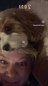 What a year, full of ups and downs but actually doing this reel I have  realised how many special memories I have