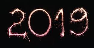 See more of homeward bound pet adoption center on facebook. 2019 A Year In Review Sasf