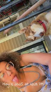 Can you trust your husky in a fenced dog park?