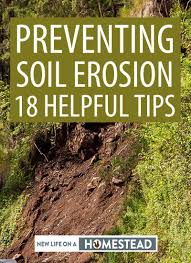 Hence, it is better to control and prevent soil. Preventing Soil Erosion 18 Helpful Tips New Life On A Homestead