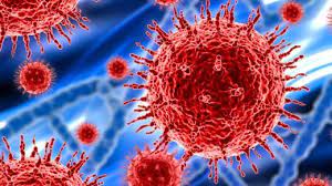 Infeksi coronavirus ditandai oleh gejala yang awalnya tampak seperti gejala flu pada umumnya. Ciri Virus Corona Ini Penyebabnya Gejala Dan Langkah Pencegahan Tribunnews Com Mobile