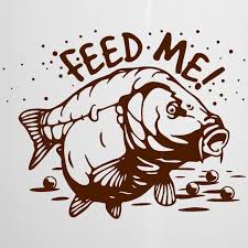 Feed Me Angeln Karpfen Angeln Bilder