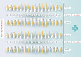 periodontitis disease stock pictures royalty free