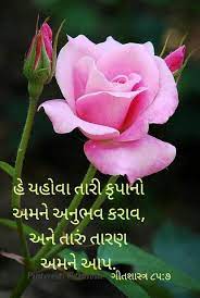 Pin By Rita Rathod On Hindi Gujarati Good Morning Flowers Good Morning Images Flowers Good Morning Quotes