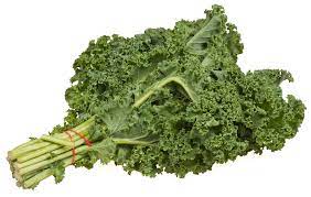 Kale leaves have thick fibrous stems. Can Guinea Pigs Eat Kale Serving Size Hazards More