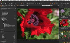 Zvýhodněné vedení podnikatelského a osobního účtu s jednoduchým ovládáním přes internet. Einfach Lightroom Ersetzen Adobe Lr Rausschmeissen Fotowissen Online Fotomagazin Digitale Fotografie Fotografieren Lernen