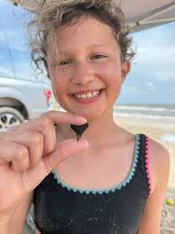 beachcomber finds interesting item