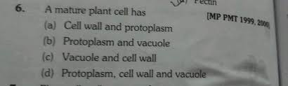 Potent secondary metabolites, such as tannins or various biological pigments, are also sequestered in the vacuoles in plants , fungi , algae. I Recun 6 Mp Pmt 1999 2000 A Mature Plant Cell Has A Cell Wall And Protoplasm B Protoplasm And Vacuole C Vacuole And Cell Wall D Protoplasm Cell Wall And Vacuole