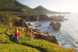 Rattlesnakes, black bears, and mountain lions also live in the area. The Ultimate Big Sur Camping Guide Road Affair