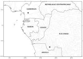 Image result for Multidentia concrescens