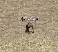 가스트 로드
