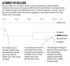 Check spelling or type a new query. Profile Of A Killer The Complex Biology Powering The Coronavirus Pandemic