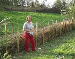 Benjeshecke Aus Asten Und Zweigen Brutstatte Und Schutz Fur Wildvogel Campingplatz Pfrimmtal Hedges Natural Fence Farm Fence