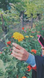 How long does a background check takes to download? Pin Oleh Anugrah S Di Foto Bunga