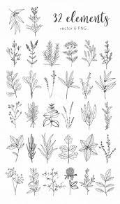 Herbs Hand Drawn Collection Spinach Dill Lavender Oregano Flower Sketches Floral Drawing Flower Drawing