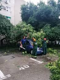 Photos, address, and phone number, opening hours, photos, and user reviews on yandex.maps. Comunicate De Presa Primaria Sector 4