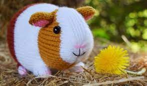 Four free knitting patterns by claire. Gordon The Guinea Pig Knitting Pattern Toy With Easy Follow Pdf