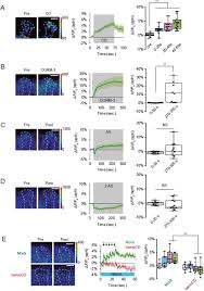 An effective carbon monoxide alarm will detect early levels of co. Carbon Monoxide A Retrograde Messenger Generated In Post Synaptic Mushroom Body Neurons Evokes Non Canonical Dopamine Release Biorxiv