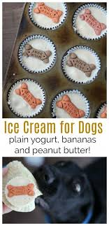 Excellent Bathbomb Hacks Are Offered On Our Website Have A Look And You Wont Be Sorry You Did In 2020 Dog Biscuit Recipes Dog Ice Cream Dog Treat Recipes